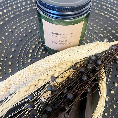 Apartmán Ani I 2zi I Neues Bad I Terr & Garten I Ruhig An Fahrradstrasse I Nahe Ews Arena I E-parkplatz Auf Anfrage