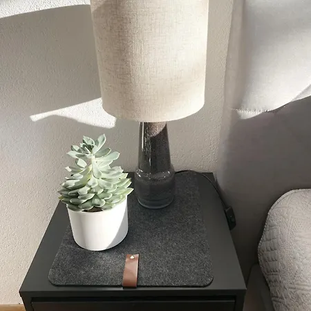 Ani I 2zi I Neues Bad I Terr & Garten I Ruhig An Fahrradstrasse I Nahe Ews Arena I E-parkplatz Auf Anfrage Daire